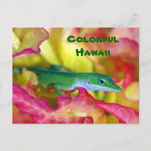 Colorful Hawaii Vykort (Framsida)