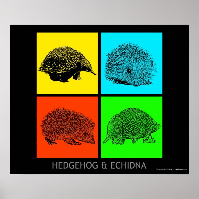 Colorful Hedgehog och Echidna Poster (Framsidan)