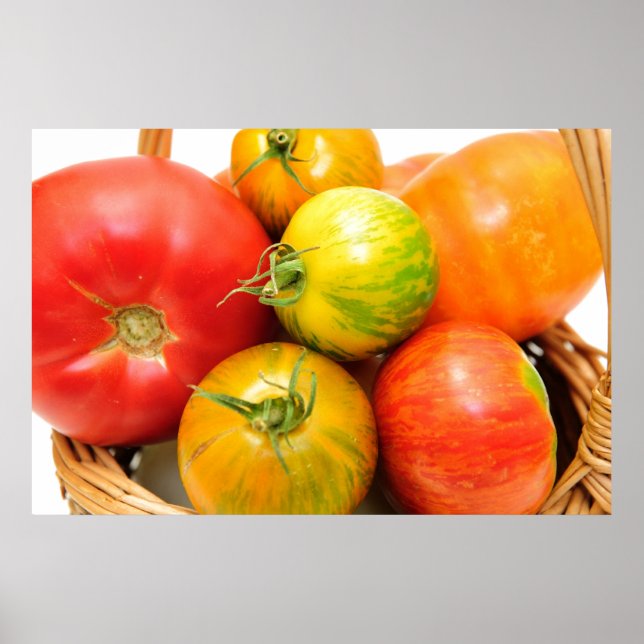 Colorful Heirloom Tomates Poster (Framsidan)