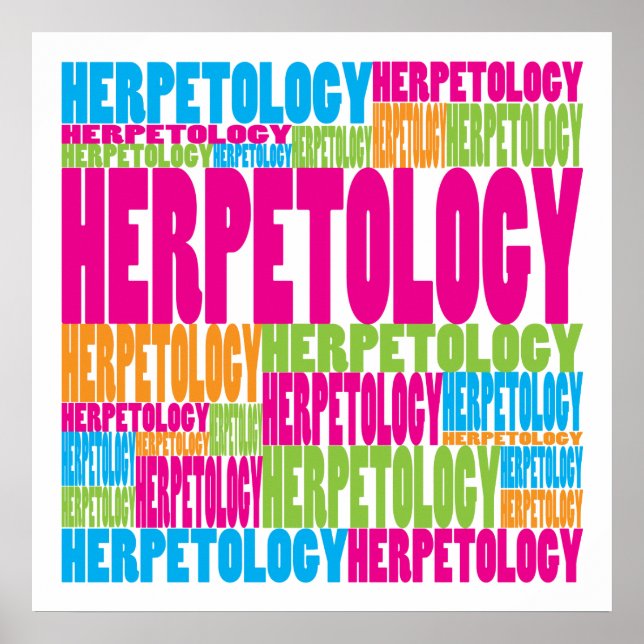 Colorful Herpetology Poster (Framsidan)