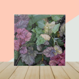 Colorful Heuchera Plant Lövs Botanical Kakelplatta