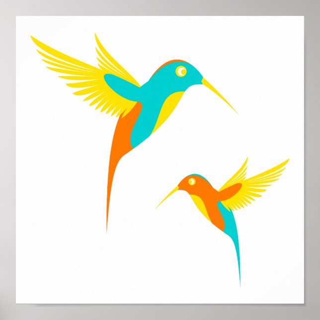 Colorful Hummingbird Teckning Poster (Framsidan)