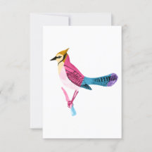 Colorful Jay