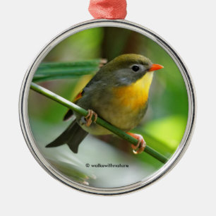Colorful Leiothrix Pekin Robin Songbird Julgransprydnad Metall