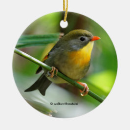 Colorful Leiothrix Pekin Robin Songbird Julgransprydnad Metall