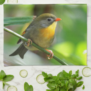 Colorful Leiothrix / Pekin Robin Songbird Kökshandduk