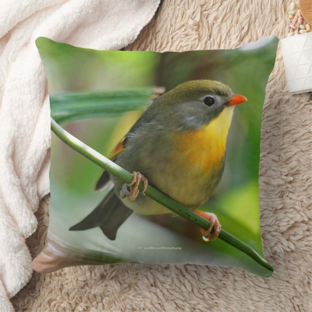 Colorful Leiothrix Pekin Robin Songbird Kudde (Filt)