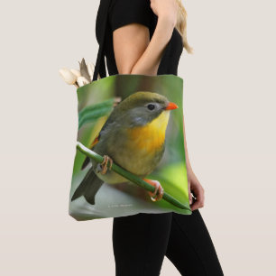 Colorful Leiothrix / Pekin Robin Songbird Tygkasse