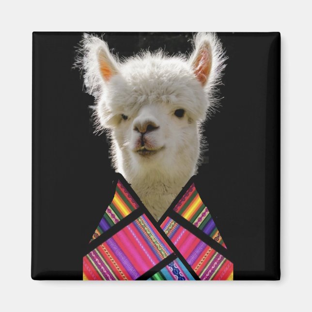 Colorful Llama Magnet (Framsidan)