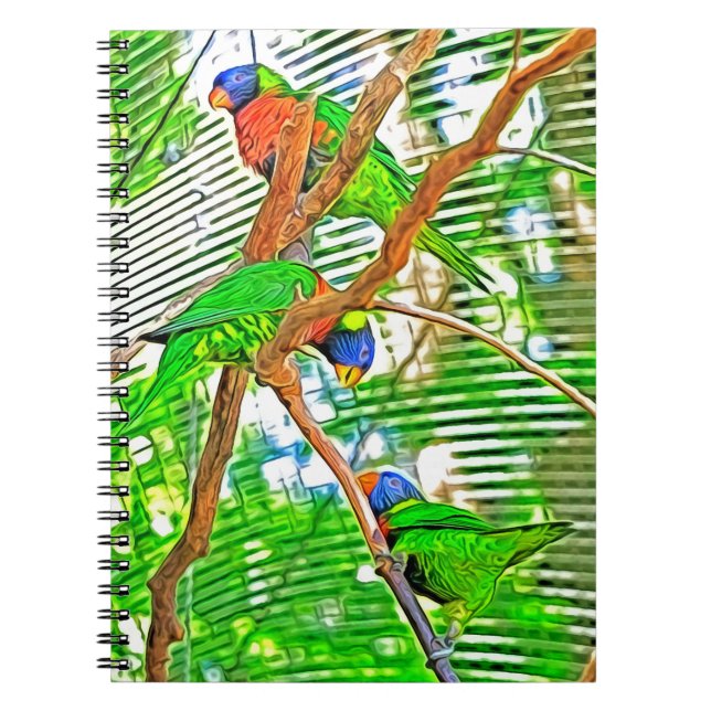 Colorful Loris på gren - papegojor Anteckningsbok (Framsidan)