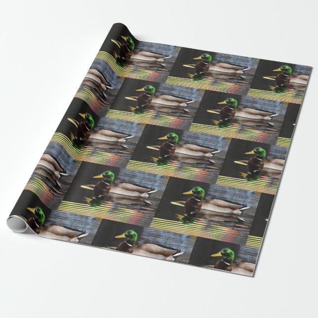 Colorful Mallard Duck Water Reflections Presentpapper (Utrullad)