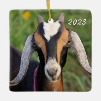 Colorful Mini Nubian Dairy Goat Kid Julgransprydnad Keramik