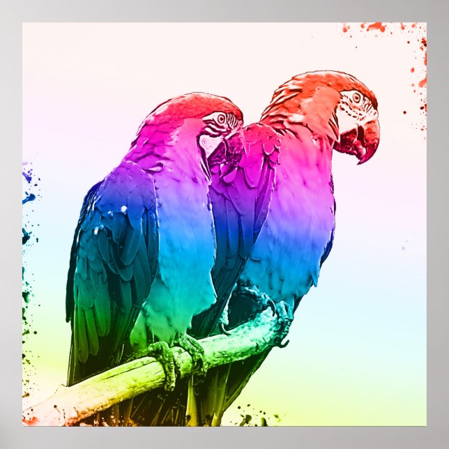 Colorful Parrot par Poster (Framsidan)