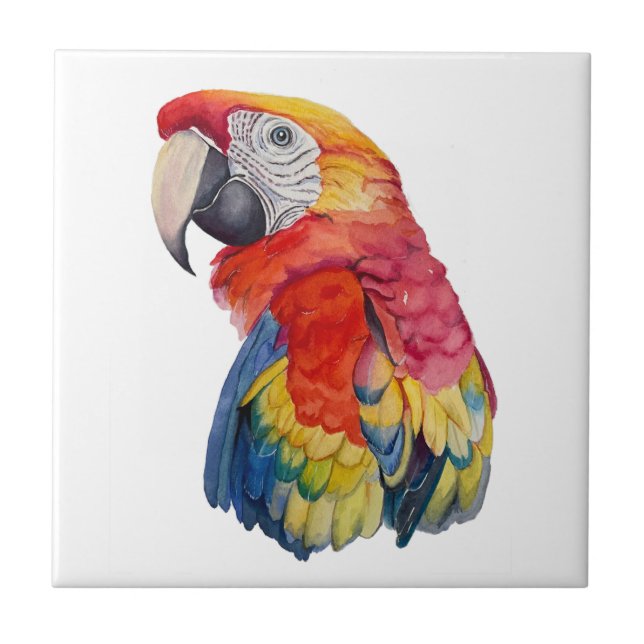 Colorful Parrot Watercolor Illustration Kakelplatta (Framsidan)