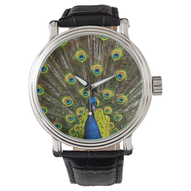 Colorful peacock armbandsur (Framsida)