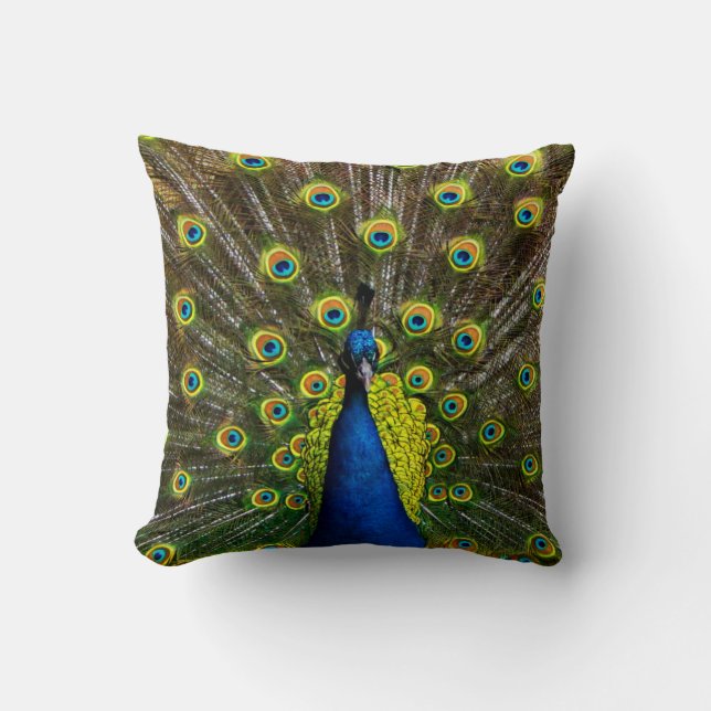 Colorful peacock kudde (Framsida)