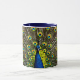 Colorful peacock mugg