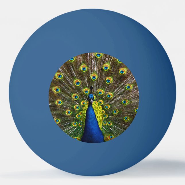 Colorful peacock pingisboll (Framsidan)
