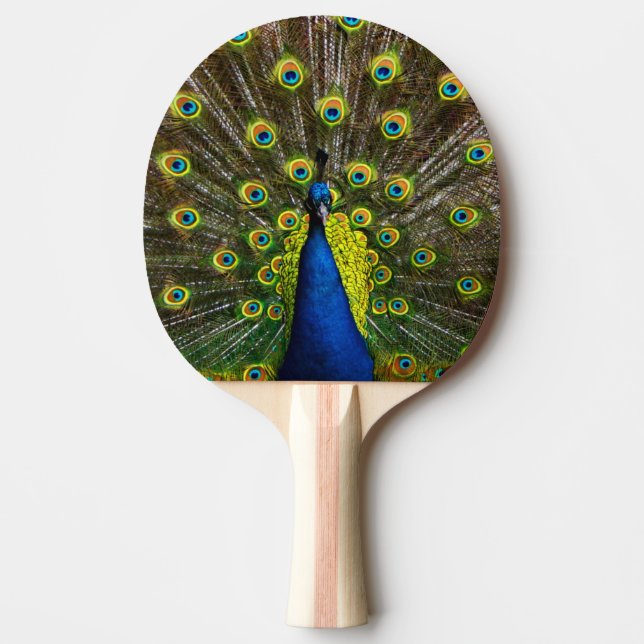 Colorful peacock pingisracket (Framsidan)