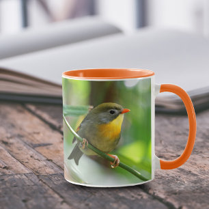 Colorful Pekin Robin Songbird på Gren Mugg