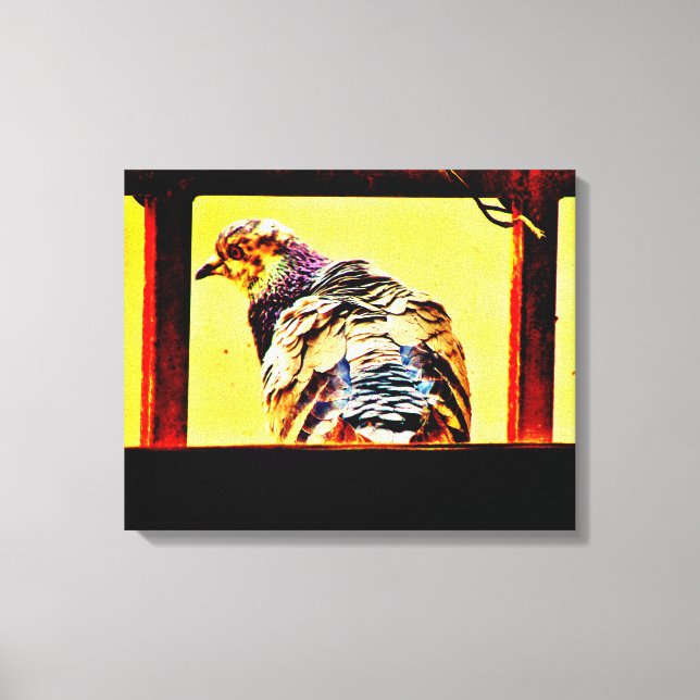 Colorful Pigeon Canvastryck (Framsida)