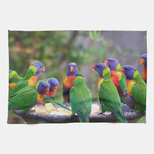 Colorful Rainbow Lorikeet Parrots Eating Kökshandduk (Horisontell)