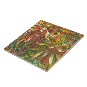 ’COLORFUL RIBBON LIKE LÖVS’ CERAMIC TILE/TRIVET KAKELPLATTA
