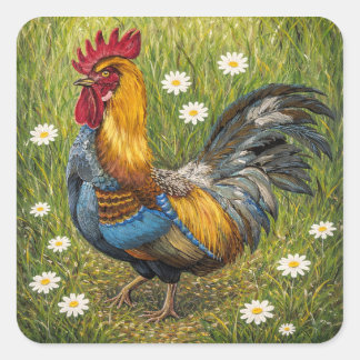 Colorful Rooster in Daisy Meadow – Nature Art Stic Fyrkantigt Klistermärke