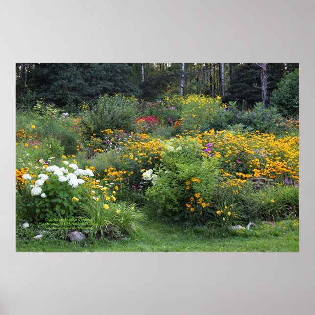 Colorful Sate August Gardens! Poster (Framsidan)