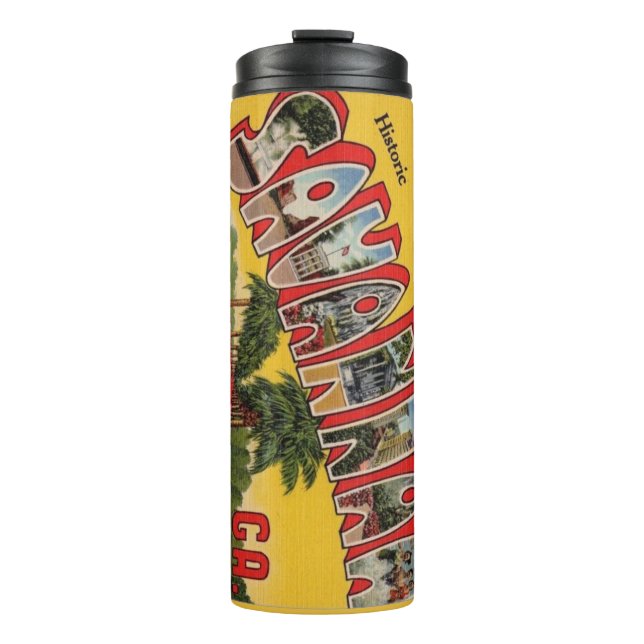 Colorful Savannah Georgia Hälsning Thermal Tumbler (Framsida)