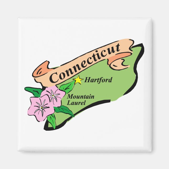 Colorful State of Connecticut Karta Tees, Gåvor Magnet (Framsidan)