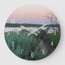 Colorful Sunset Kangaroo Wildlife Australia
