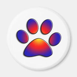 COLORFUL TASS MAGNET