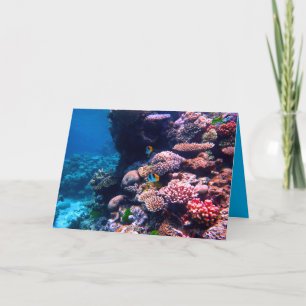 Colorful Tropical Coral Reef Kort