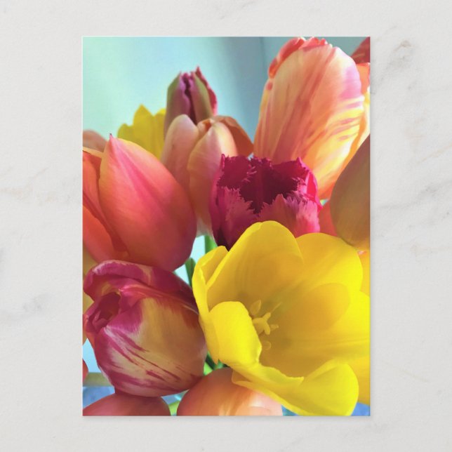 Colorful Tulip Bouquet Vykort (Framsida)