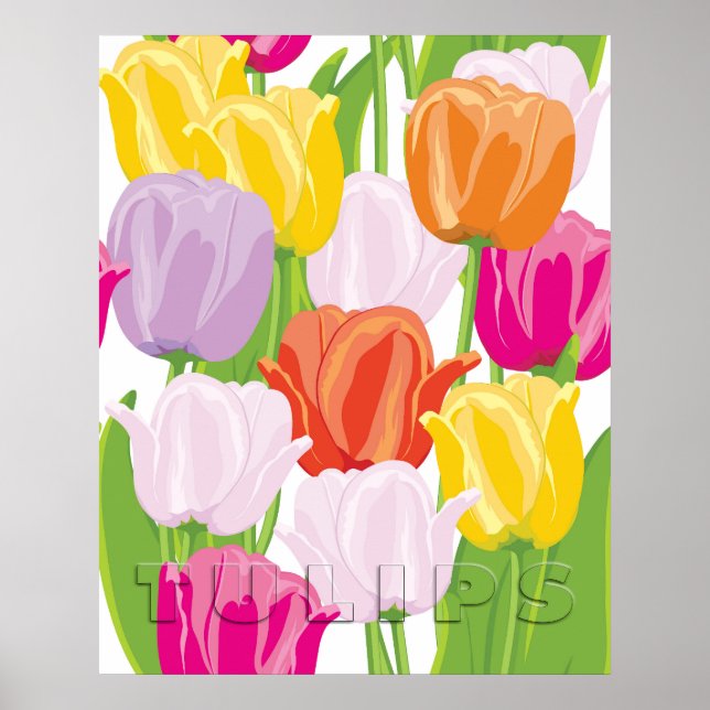Colorful Tulips Poster (Framsidan)