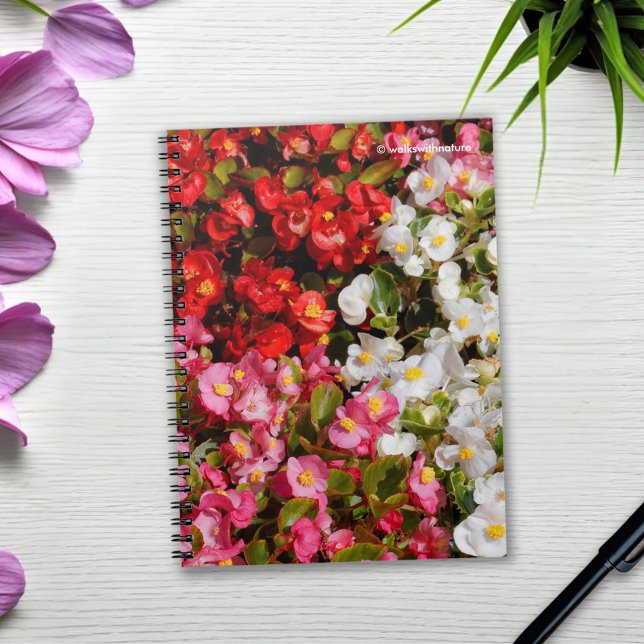 Colorful Vax Begonias Anteckningsbok (Colorful Wax Begonias Journal Cover Photo)