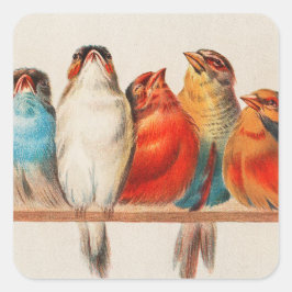 Colorful vintage illustration of five little birds fyrkantigt klistermärke