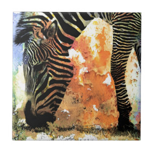 Colorful Zebra Grunge Kakelplatta