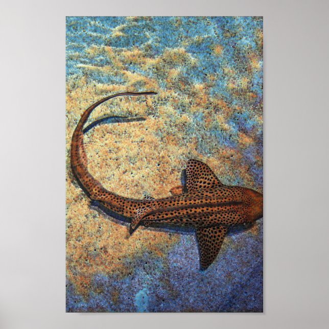 Colorful Zebra Shark Poster (Framsidan)