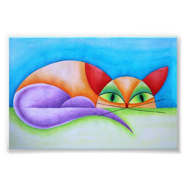 Colorido gato fototryck (Framsidan)