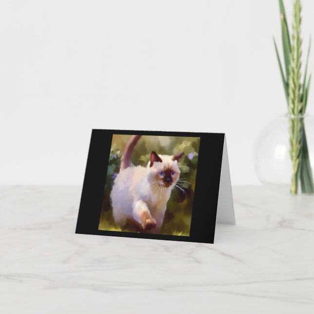 Colorpoint Shorthair Cat Kort (Framsida)