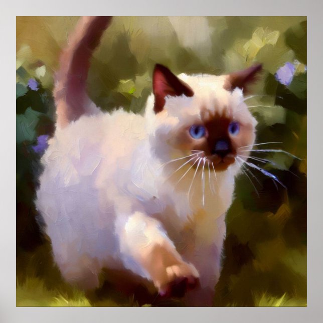 Colorpoint Shorthair Cat Poster (Framsidan)