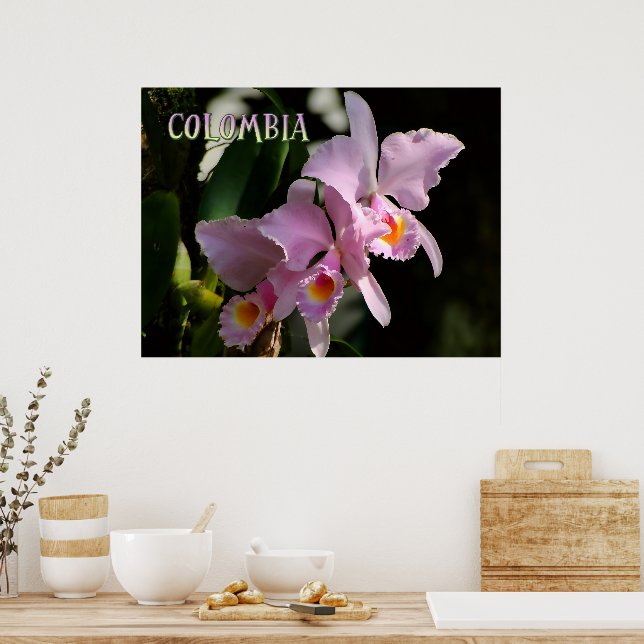 Colors of Colombia Orchid Poster (Kök)