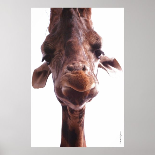 COLOSSAL POSTER - GIRAFFE ANSIKTE - HUMOR FOTO (Framsidan)