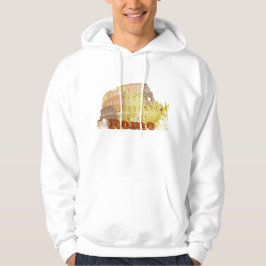 Colosseum Rome italien Sweatshirt Med Luva