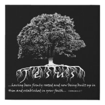 Colossians 2:7 som rotas i Jesus