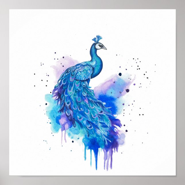 Colourful Peacock Watercolour Art Poster (Framsidan)