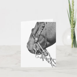 Colt in the Two Rein - 4" x 5.6" Notecard Kort