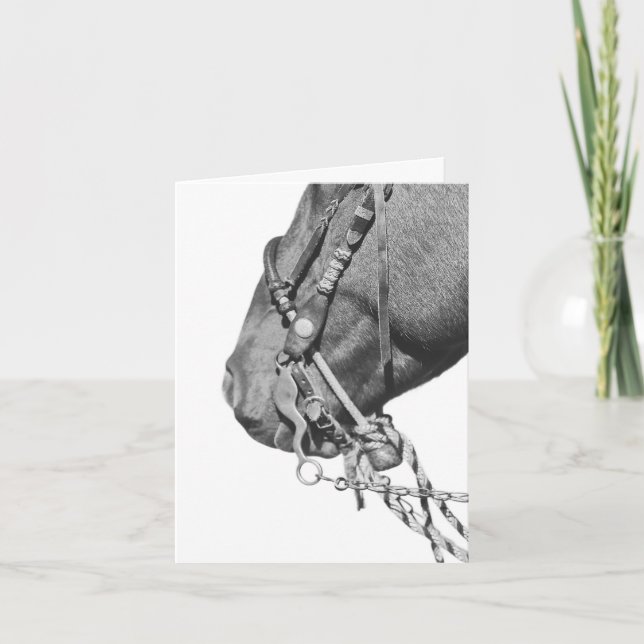 Colt in the Two Rein - 4" x 5.6" Notecard Kort (Framsida)